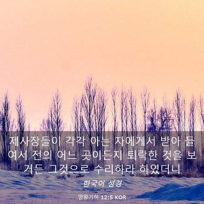 Picture 03 - 열왕기하 12:5 KOR - 제사장들이 각각 아는 자에게서 받아 - Bible Verse Picture