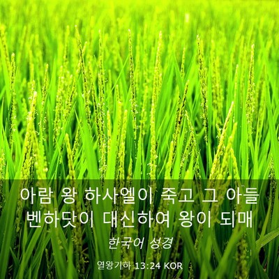 Picture 03 - 열왕기하 13:24 KOR - 아람 왕 하사엘이 죽고 그 아들 - Bible Verse Picture