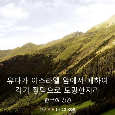 Picture 03 - 열왕기하 14:12 KOR - 유다가 이스라엘 앞에서 패하여 각기 - Bible Verse Picture