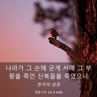 Picture 03 - 열왕기하 14:5 KOR - 나라가 그 손에 굳게 서매 그 부왕을 - Bible Verse Picture