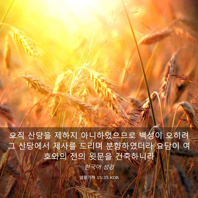 Picture 03 - 열왕기하 15:35 KOR - 오직 산당을 제하지 아니하였으므로 - Bible Verse Picture