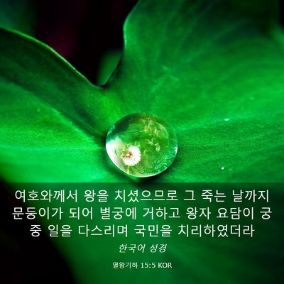 Picture 03 - 열왕기하 15:5 KOR - 여호와께서 왕을 치셨으므로 그 죽는 - Bible Verse Picture