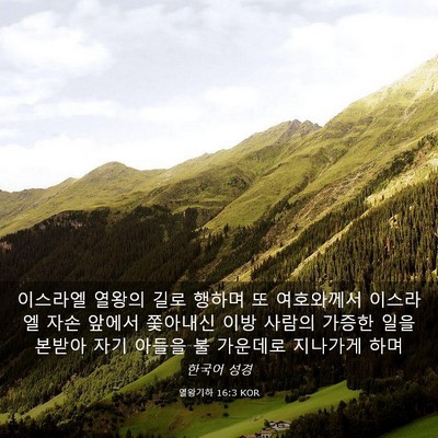 Picture 03 - 열왕기하 16:3 KOR - 이스라엘 열왕의 길로 행하며 또 - Bible Verse Picture