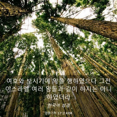 Picture 03 - 열왕기하 17:2 KOR - 여호와 보시기에 악을 행하였으나 - Bible Verse Picture