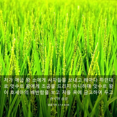 Picture 03 - 열왕기하 17:4 KOR - 저가 애굽 왕 소에게 사자들을 - Bible Verse Picture
