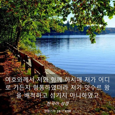 Picture 03 - 열왕기하 18:7 KOR - 여호와께서 저와 함께 하시매 저가 - Bible Verse Picture