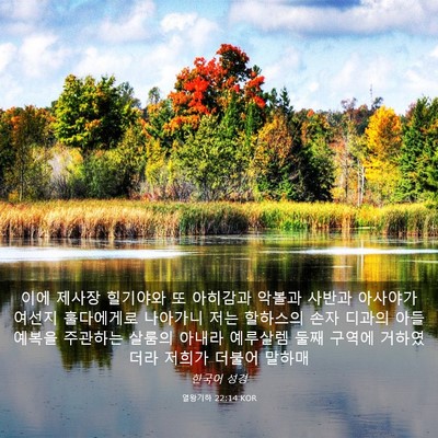 Picture 03 - 열왕기하 22:14 KOR - 이에 제사장 힐기야와 또 아히감과 - Bible Verse Picture