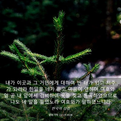 Picture 03 - 열왕기하 22:19 KOR - 내가 이곳과 그 거민에게 대하여 빈 - Bible Verse Picture