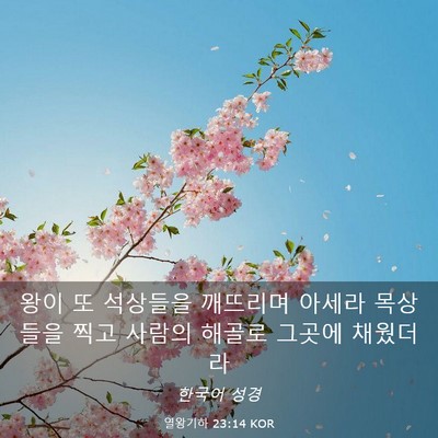 Picture 03 - 열왕기하 23:14 KOR - 왕이 또 석상들을 깨뜨리며 아세라 - Bible Verse Picture