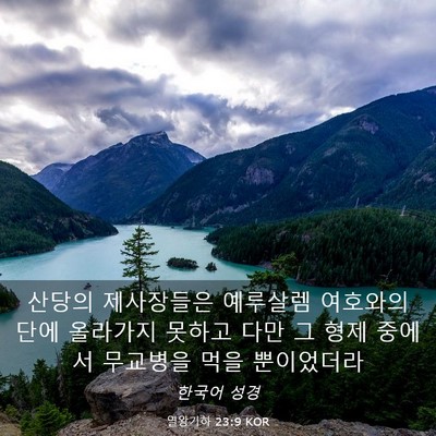 Picture 03 - 열왕기하 23:9 KOR - 산당의 제사장들은 예루살렘 - Bible Verse Picture