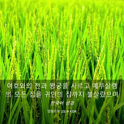 Picture 03 - 열왕기하 25:9 KOR - 여호와의 전과 왕궁을 사르고 - Bible Verse Picture