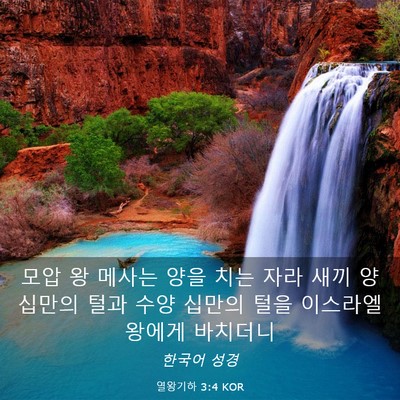 Picture 03 - 열왕기하 3:4 KOR - 모압 왕 메사는 양을 치는 자라 새끼 - Bible Verse Picture