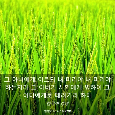Picture 03 - 열왕기하 4:19 KOR - 그 아비에게 이르되 내 머리야 내 - Bible Verse Picture