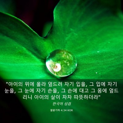 Picture 03 - 열왕기하 4:34 KOR - 