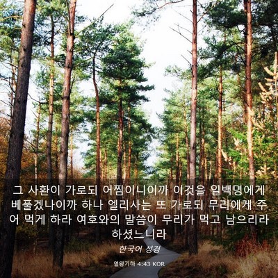 Picture 03 - 열왕기하 4:43 KOR - 그 사환이 가로되 어찜이니이까 - Bible Verse Picture