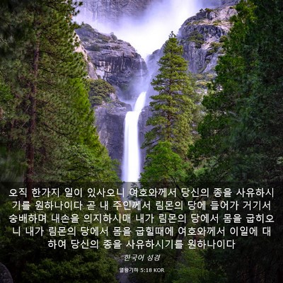 Picture 03 - 열왕기하 5:18 KOR - 오직 한가지 일이 있사오니 - Bible Verse Picture