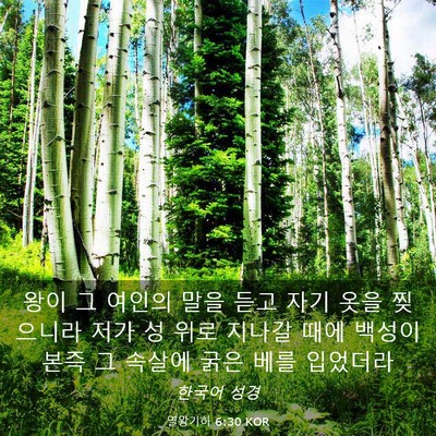 Picture 03 - 열왕기하 6:30 KOR - 왕이 그 여인의 말을 듣고 자기 옷을 - Bible Verse Picture