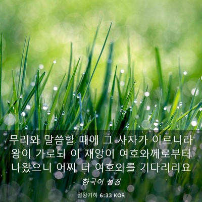 Picture 03 - 열왕기하 6:33 KOR - 무리와 말씀할 때에 그 사자가 - Bible Verse Picture