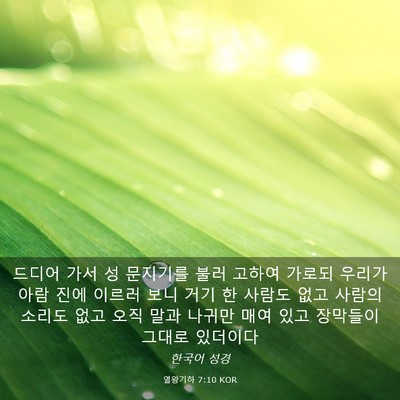 Picture 03 - 열왕기하 7:10 KOR - 드디어 가서 성 문지기를 불러 - Bible Verse Picture
