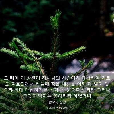 Picture 03 - 열왕기하 7:19 KOR - 그 때에 이 장관이 하나님의 - Bible Verse Picture