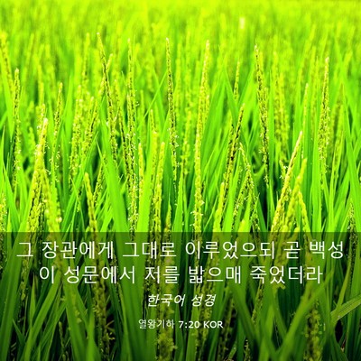 Picture 03 - 열왕기하 7:20 KOR - 그 장관에게 그대로 이루었으되 곧 - Bible Verse Picture