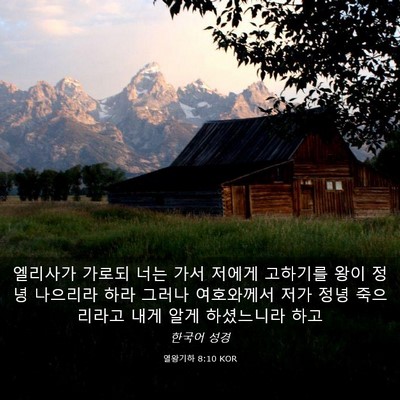 Picture 03 - 열왕기하 8:10 KOR - 엘리사가 가로되 너는 가서 저에게 - Bible Verse Picture