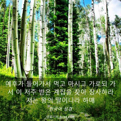 Picture 03 - 열왕기하 9:34 KOR - 예후가 들어가서 먹고 마시고 가로되 - Bible Verse Picture