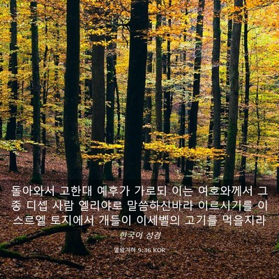 Picture 03 - 열왕기하 9:36 KOR - 돌아와서 고한대 예후가 가로되 이는 - Bible Verse Picture