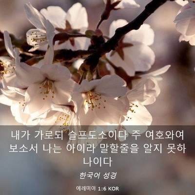 Picture 03 - 예레미야 1:6 KOR - 내가 가로되 슬프도소이다 주 - Bible Verse Picture