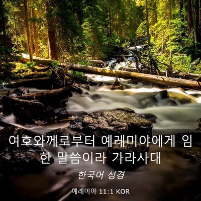 Picture 03 - 예레미야 11:1 KOR - 여호와께로부터 예레미야에게 임한 - Bible Verse Picture