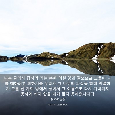 Picture 03 - 예레미야 11:19 KOR - 나는 끌려서 잡히러 가는 순한 어린 - Bible Verse Picture