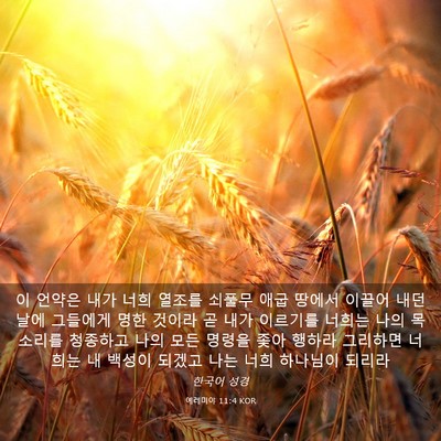 Picture 03 - 예레미야 11:4 KOR - 이 언약은 내가 너희 열조를 쇠풀무 - Bible Verse Picture