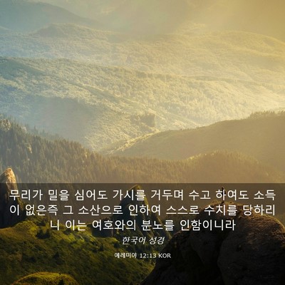 Picture 03 - 예레미야 12:13 KOR - 무리가 밀을 심어도 가시를 거두며 - Bible Verse Picture