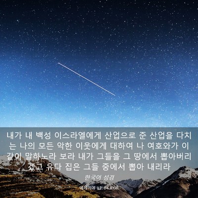 Picture 03 - 예레미야 12:14 KOR - 내가 내 백성 이스라엘에게 산업으로 - Bible Verse Picture