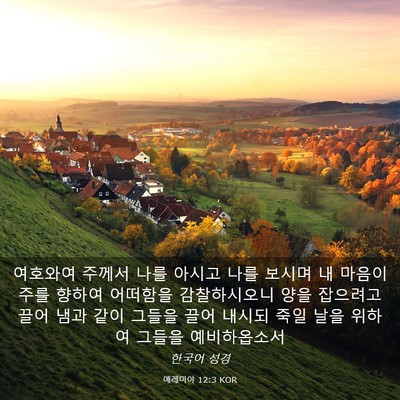 Picture 03 - 예레미야 12:3 KOR - 여호와여 주께서 나를 아시고 나를 - Bible Verse Picture