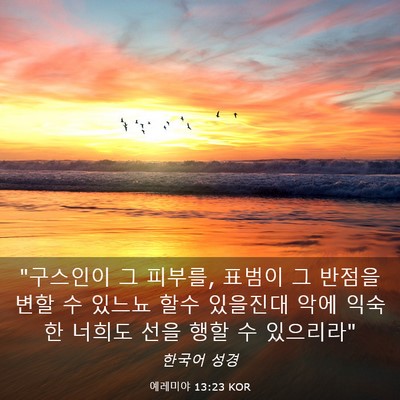 Picture 03 - 예레미야 13:23 KOR - 