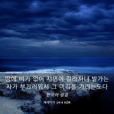 Picture 03 - 예레미야 14:4 KOR - 땅에 비가 없어 지면이 갈라지니 - Bible Verse Picture