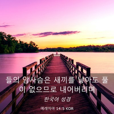 Picture 03 - 예레미야 14:5 KOR - 들의 암사슴은 새끼를 낳아도 풀이 - Bible Verse Picture