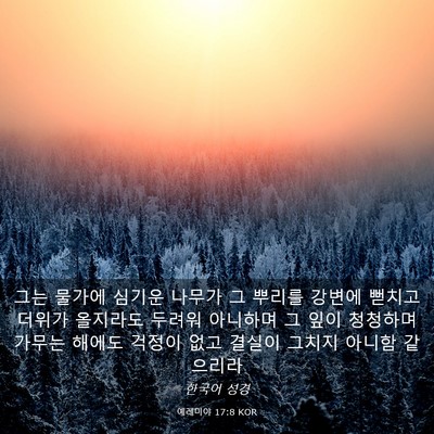 Picture 03 - 예레미야 17:8 KOR - 그는 물가에 심기운 나무가 그 - Bible Verse Picture
