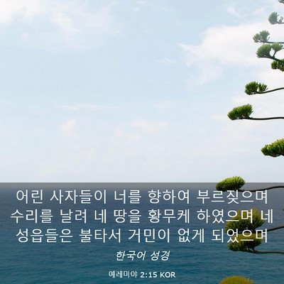 Picture 03 - 예레미야 2:15 KOR - 어린 사자들이 너를 향하여 - Bible Verse Picture