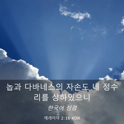 Picture 03 - 예레미야 2:16 KOR - 놉과 다바네스의 자손도 네 정수리를 - Bible Verse Picture