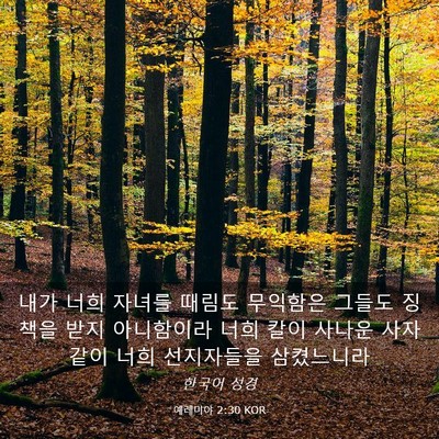 Picture 03 - 예레미야 2:30 KOR - 내가 너희 자녀를 때림도 무익함은 - Bible Verse Picture