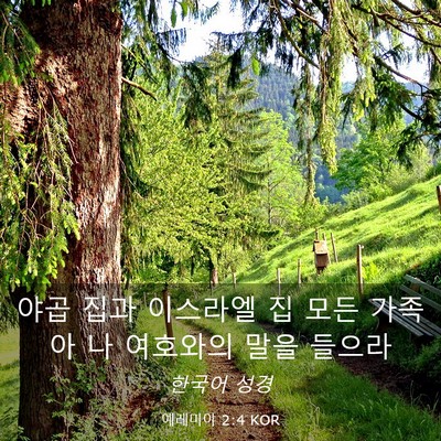 Picture 03 - 예레미야 2:4 KOR - 야곱 집과 이스라엘 집 모든 가족아 - Bible Verse Picture