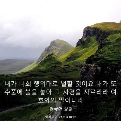 Picture 03 - 예레미야 21:14 KOR - 내가 너희 행위대로 벌할 것이요 - Bible Verse Picture