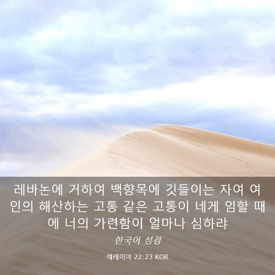 Picture 03 - 예레미야 22:23 KOR - 레바논에 거하여 백향목에 깃들이는 - Bible Verse Picture