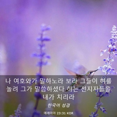 Picture 03 - 예레미야 23:31 KOR - 나 여호와가 말하노라 보라 그들이 - Bible Verse Picture