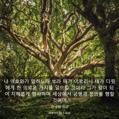 Picture 03 - 예레미야 23:5 KOR - 나 여호와가 말하노라 보라 때가 - Bible Verse Picture