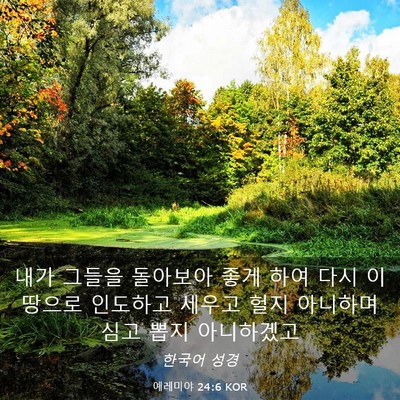 Picture 03 - 예레미야 24:6 KOR - 내가 그들을 돌아보아 좋게 하여 - Bible Verse Picture
