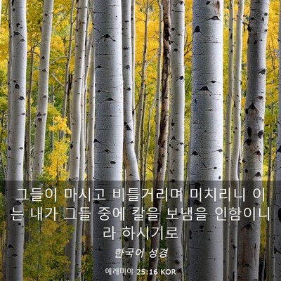 Picture 03 - 예레미야 25:16 KOR - 그들이 마시고 비틀거리며 미치리니 - Bible Verse Picture