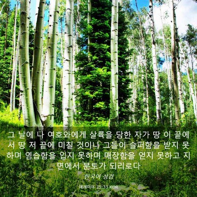 Picture 03 - 예레미야 25:33 KOR - 그 날에 나 여호와에게 살륙을 당한 - Bible Verse Picture